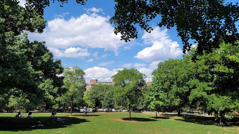 Fort Greene Park