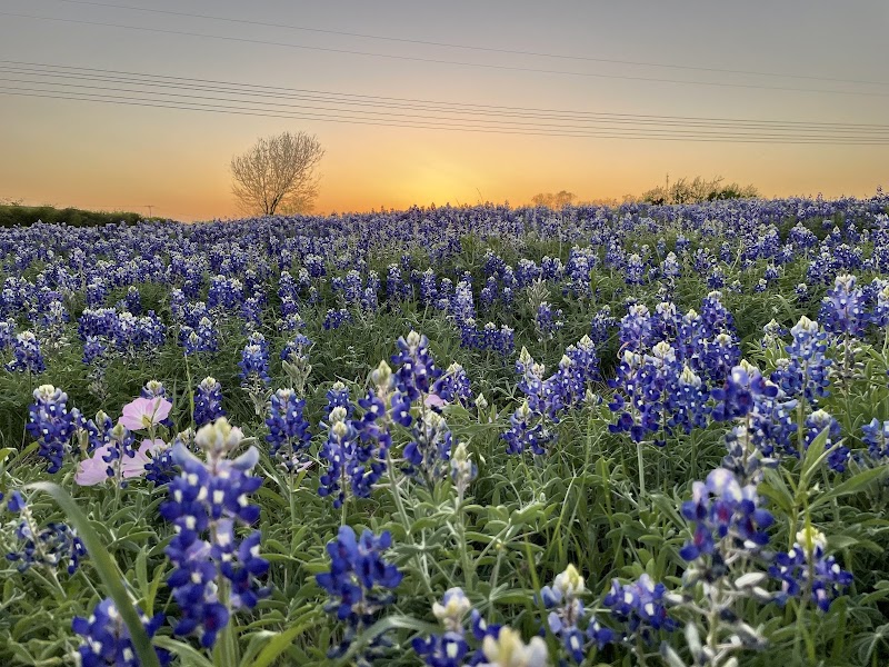 Jack's Pond/Wavecrest Field