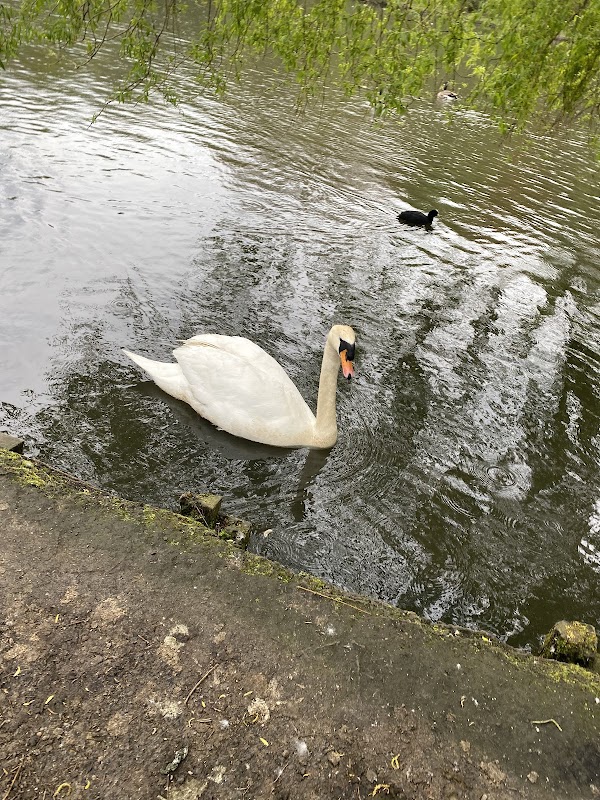 Moses Gate Country Park