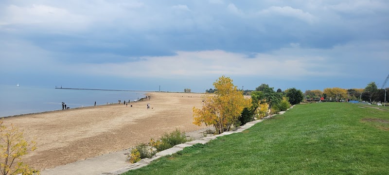 Montrose Beach