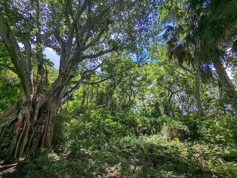 FIU Nature Preserve