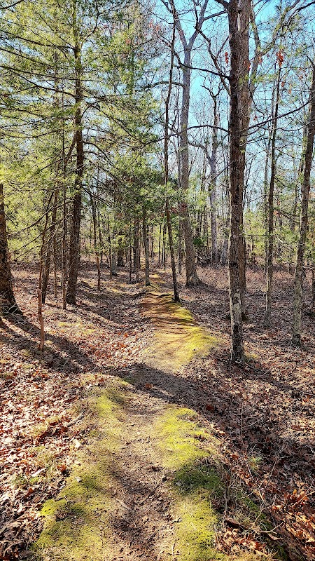 Cathedral Pines County Park
