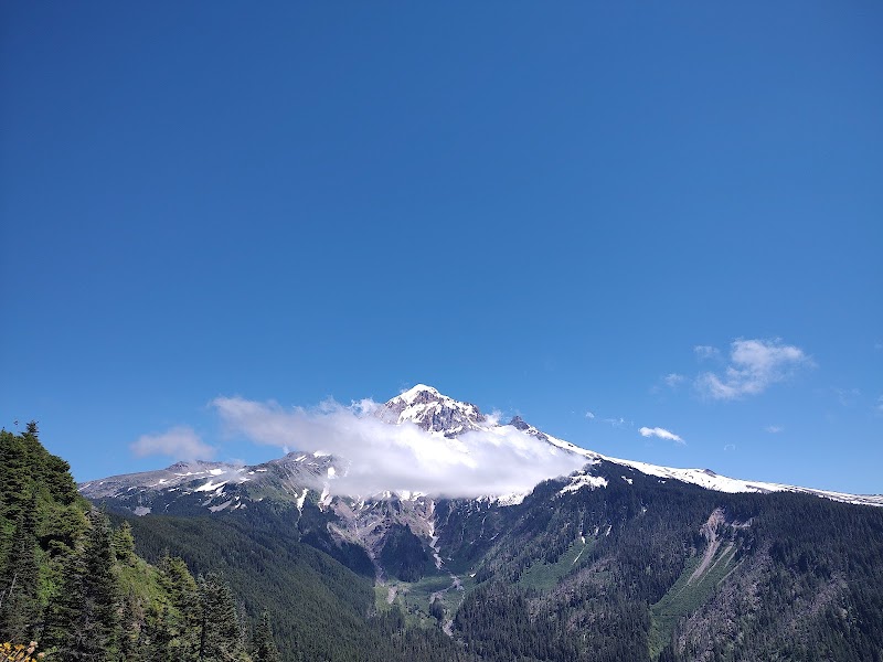 Junction of PCT and Timberline Trail