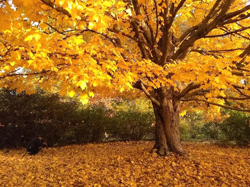 Mt. Airy Arboretum