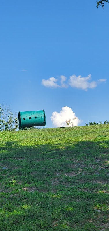 Town of Chester Dog Park