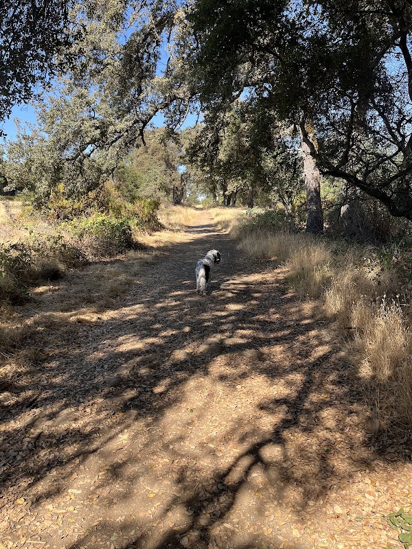 Catecroft lane trailhead
