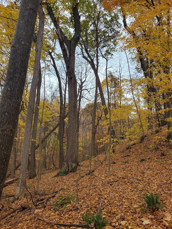 Horizon Hill