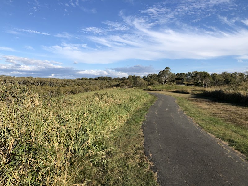 Wynnum North Conservation Site