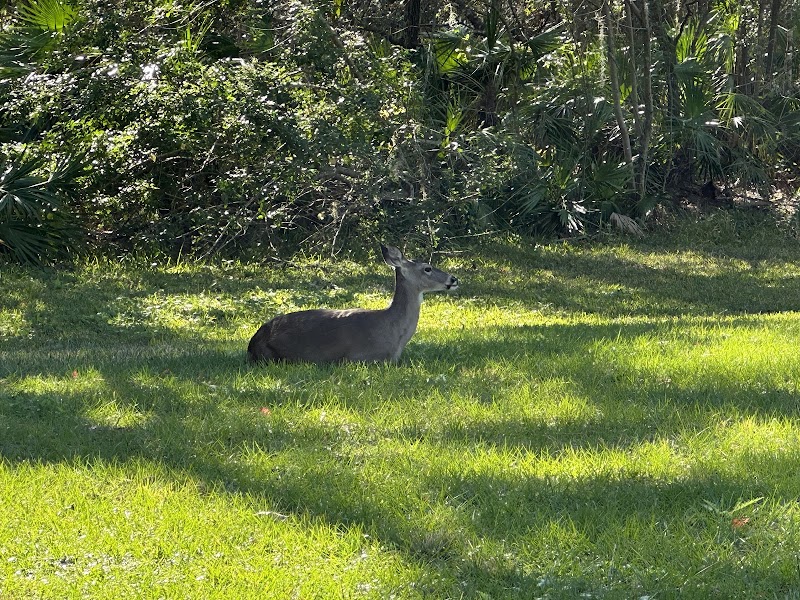 Panther Ridge Preserve Community Park