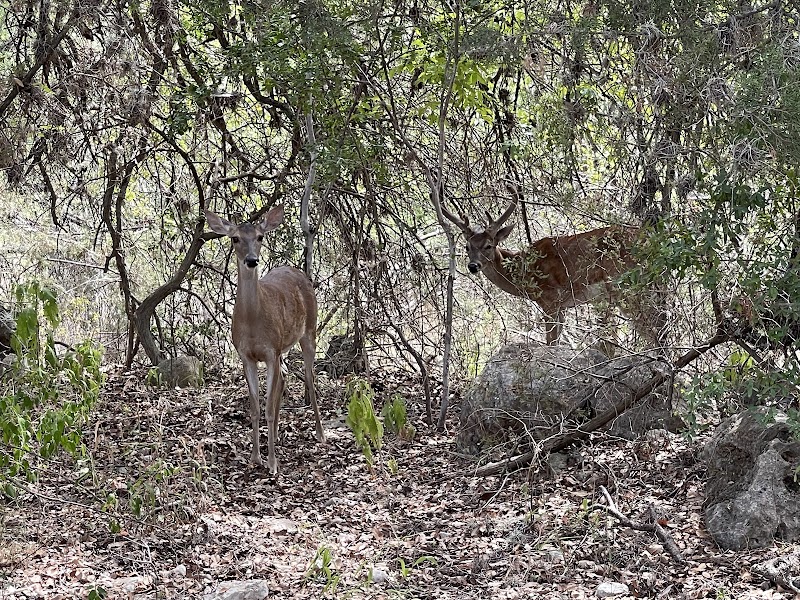 Huebner Neighborhood Connection