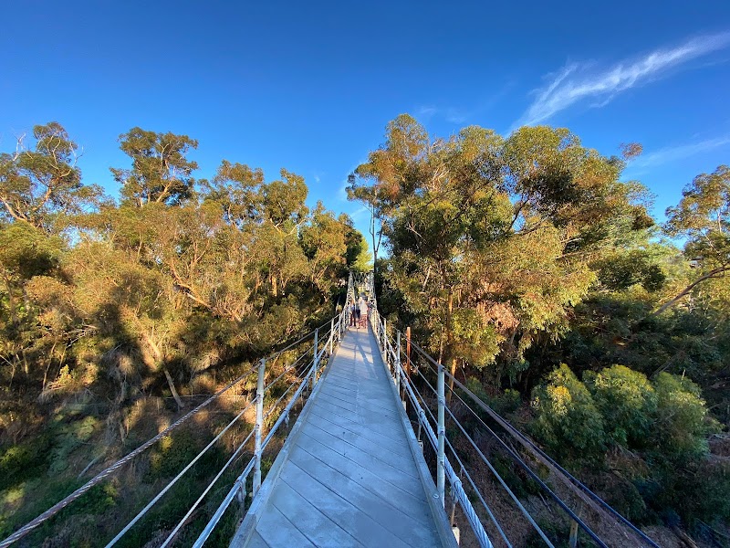 Spruce Street Suspension Bridge