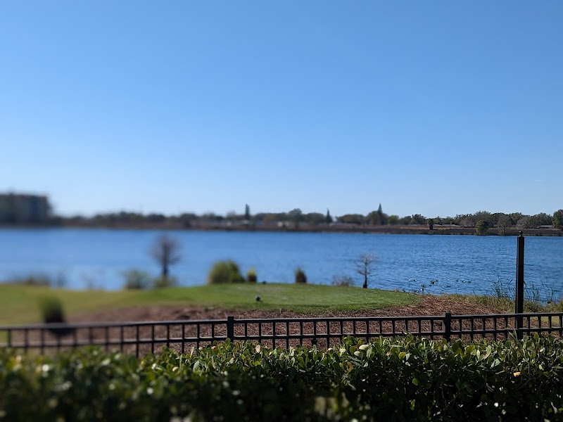 Bean Toss Game Station