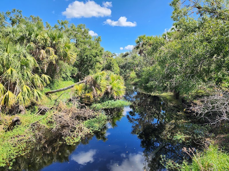 Myakka River State Park Clay Gully Picnic Area