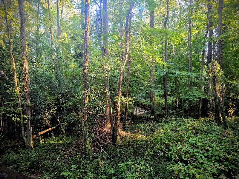 Whetstone Creek PATH Trailhead