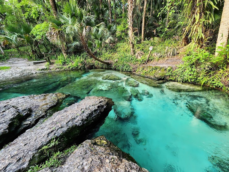 Kelly Park - Rock Springs