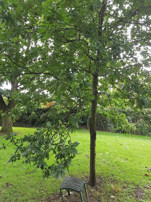 Diamond Jubilee Tree