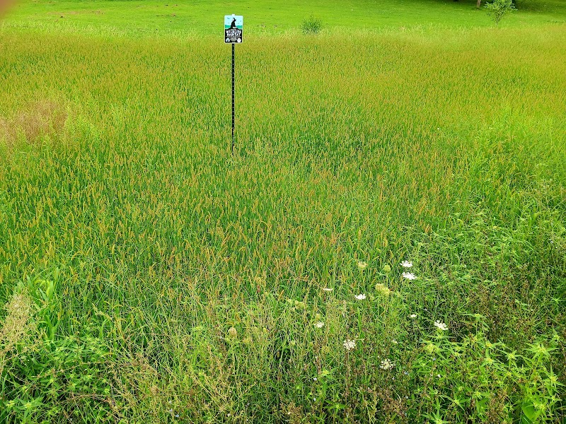 Peterson Wildlife Conservation