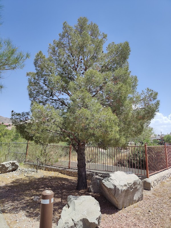 Ojo De Agua Linear Trail Park