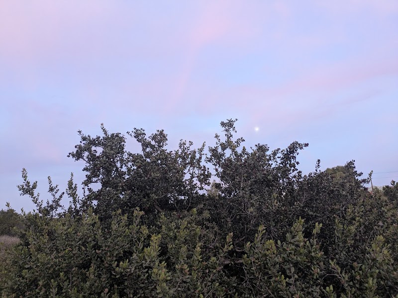 Chollas Parkway Open Space