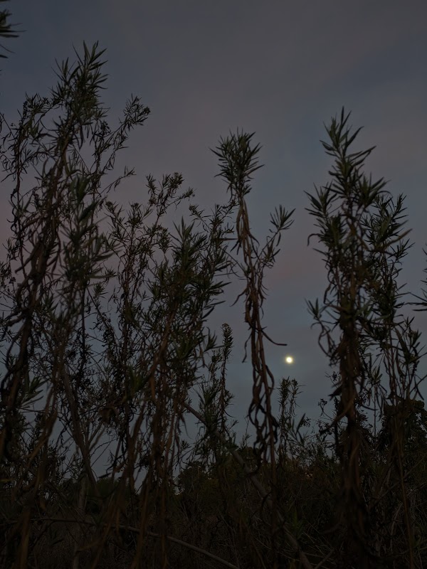 Chollas Parkway Open Space