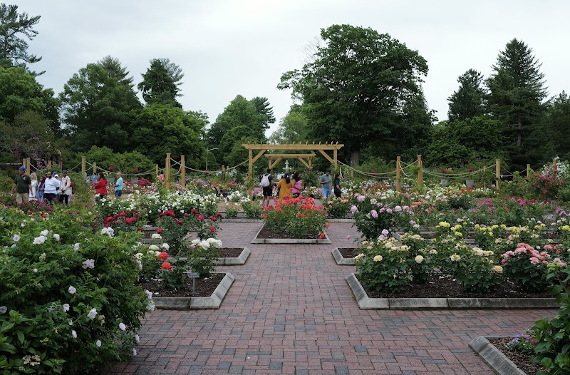 Rudolf W. van der Goot Rose Garden