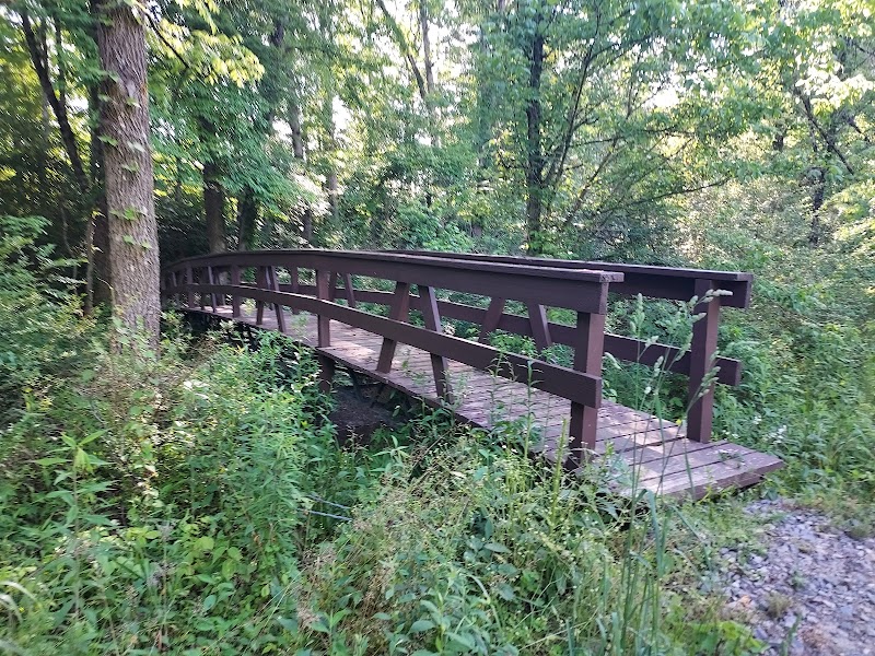 Forest Fun Habitat Trail
