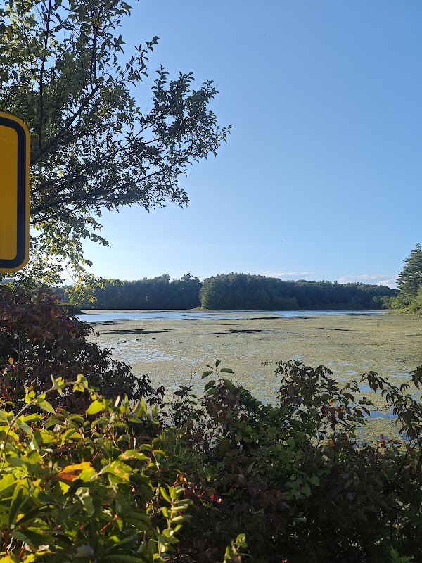 Great blue heron colony