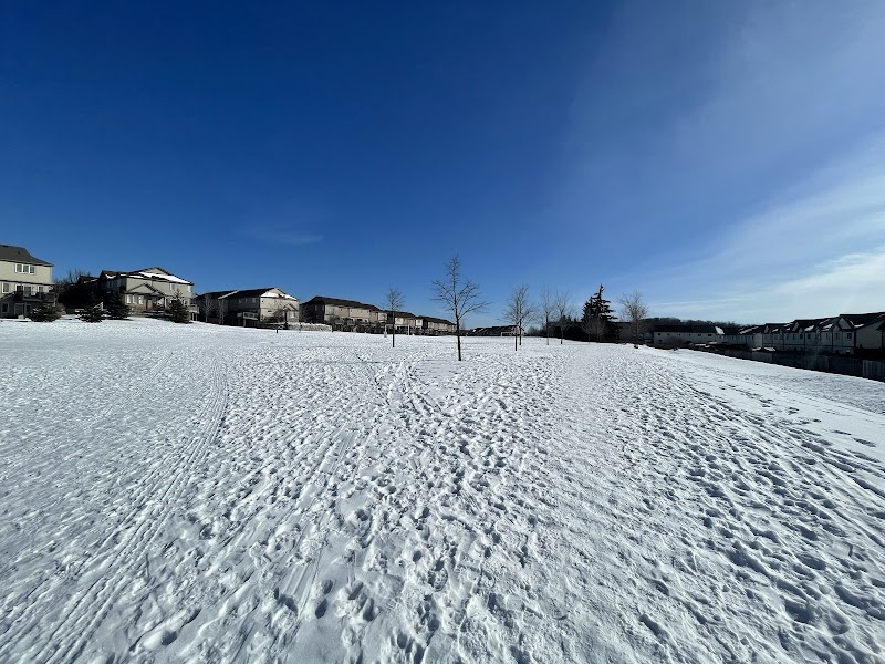 Foxglove Park