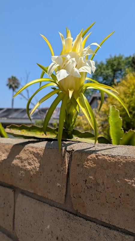 University City Open Space