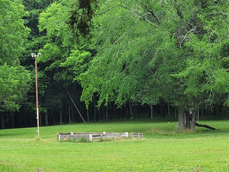 Craig Activity Field