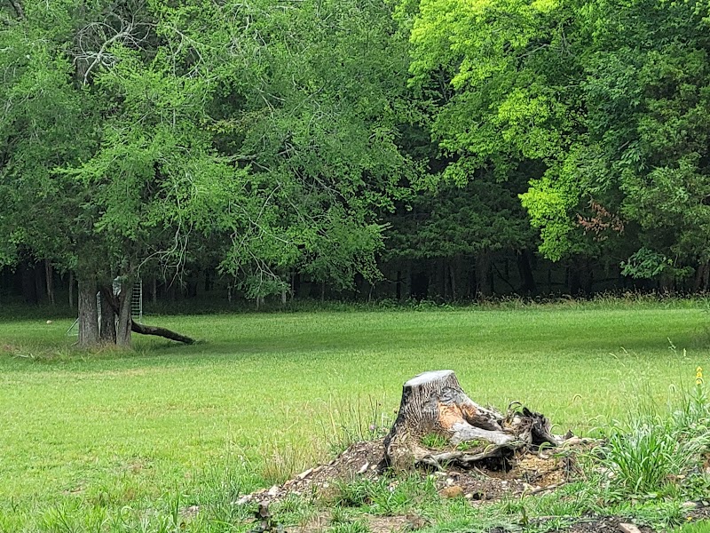 Craig Activity Field