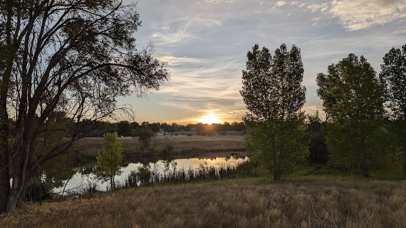 Hyland Ponds Open Space
