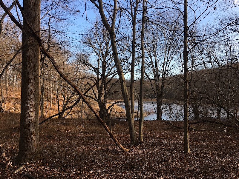 Brinton Brook Sanctuary