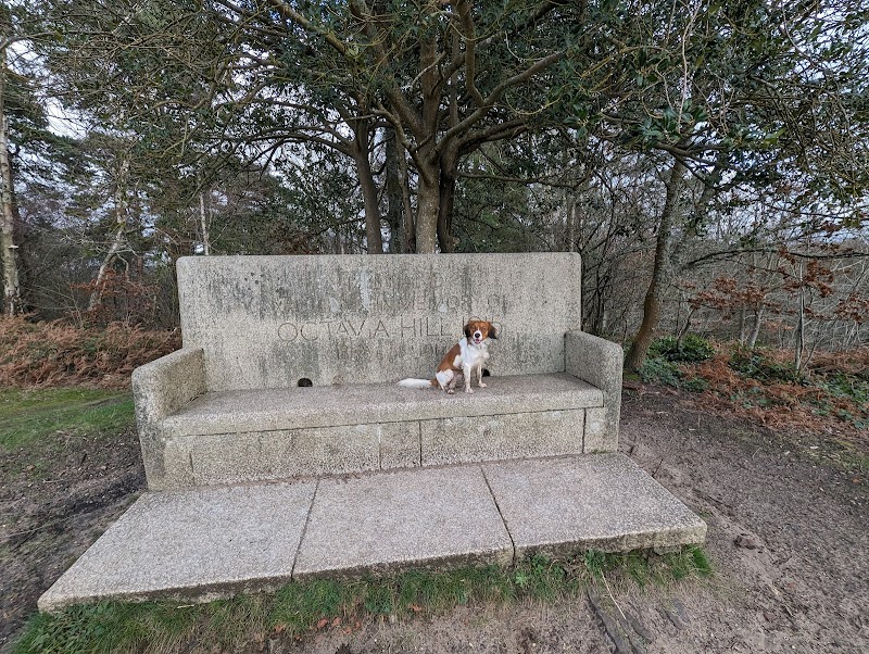 National Trust - Hydon's Ball and Heath