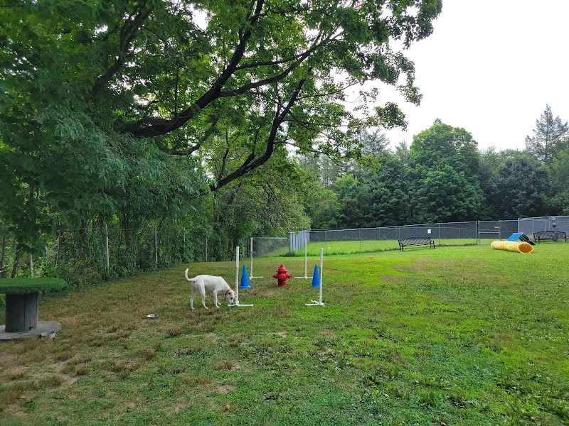 Leicester Bark Park