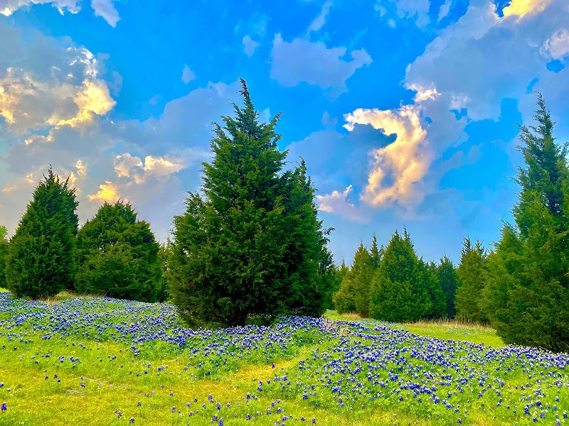 Samuell Farm North Park