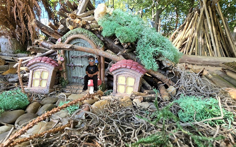 The Enchanted Forest