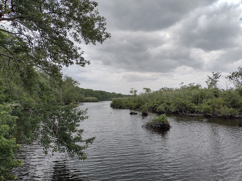 Wertheim National Wildlife Refuge