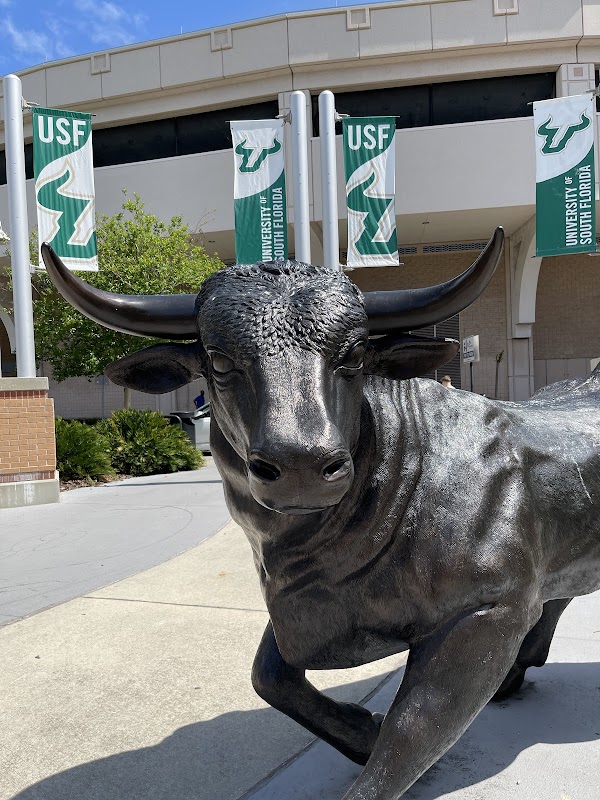 University of South Florida Park on the Riverwalk