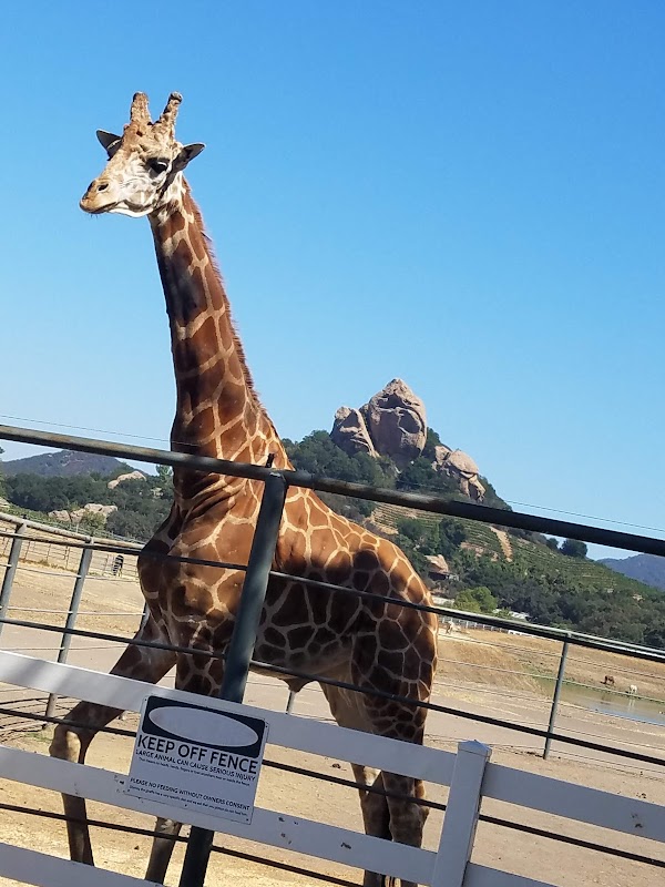 Malibu Wine Safaris - CLOSED