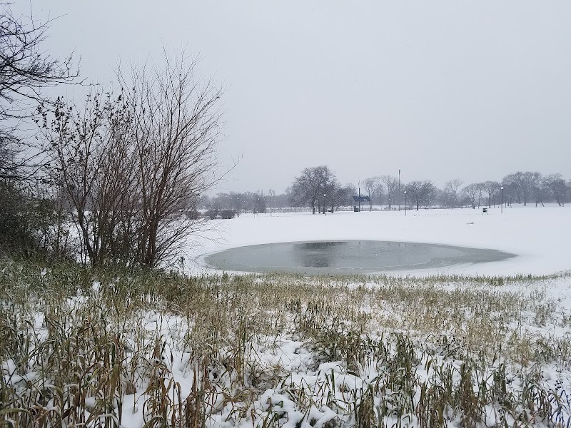 Humboldt Park Sledding Hill Bunker Hill