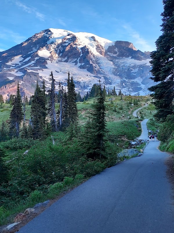 Nisqually Glacier