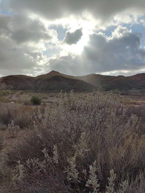 Black Star Staging Area