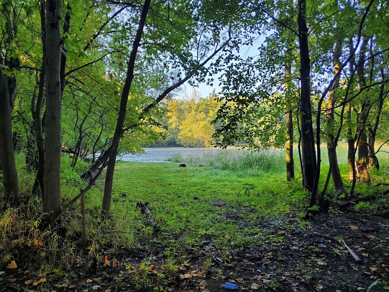 Two Sisters Wetland Preserve Property