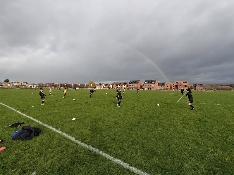 Verdin Exchange Playing Field