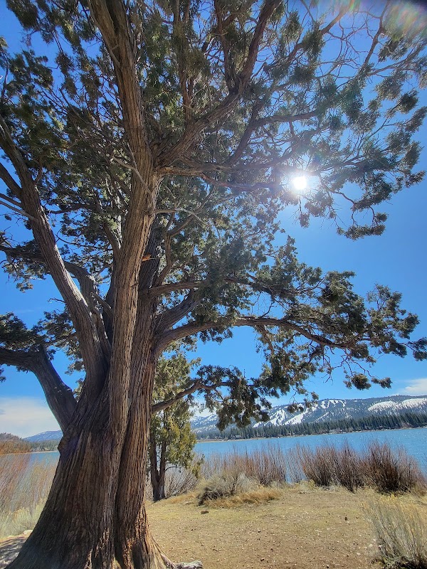 Juniper Point Picnic Area