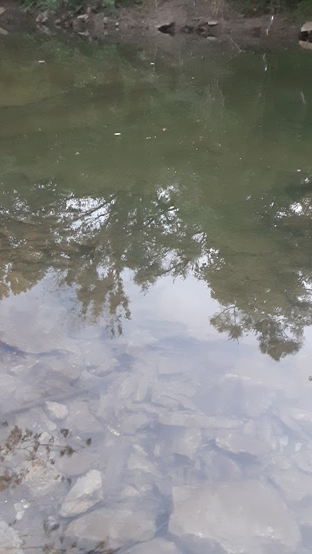 elm hill pike kayak access