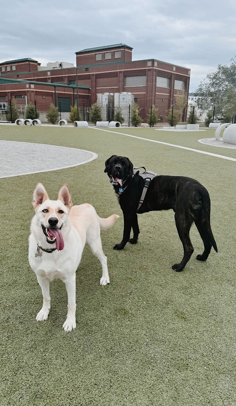Central Dog Park