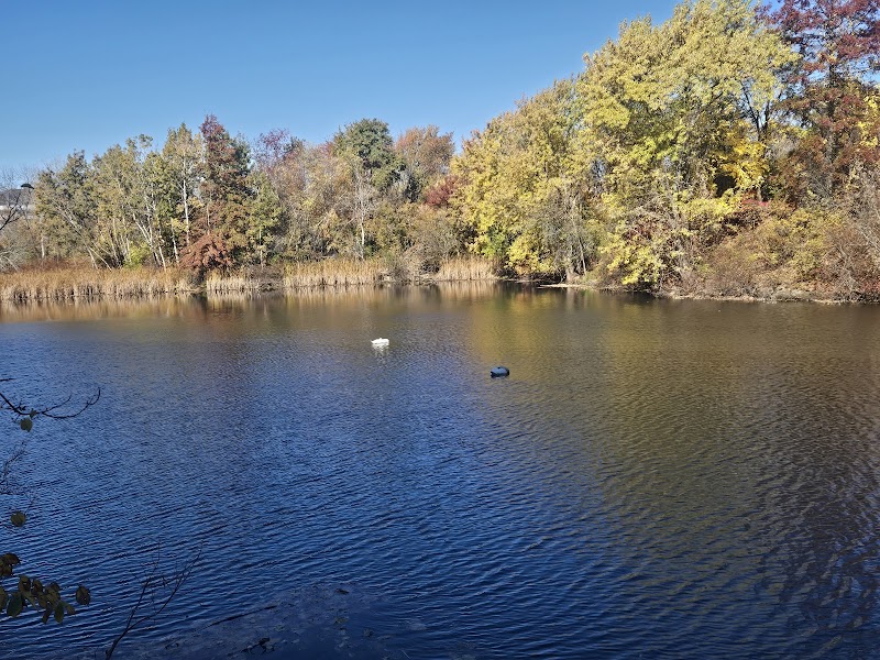 Yates Pond