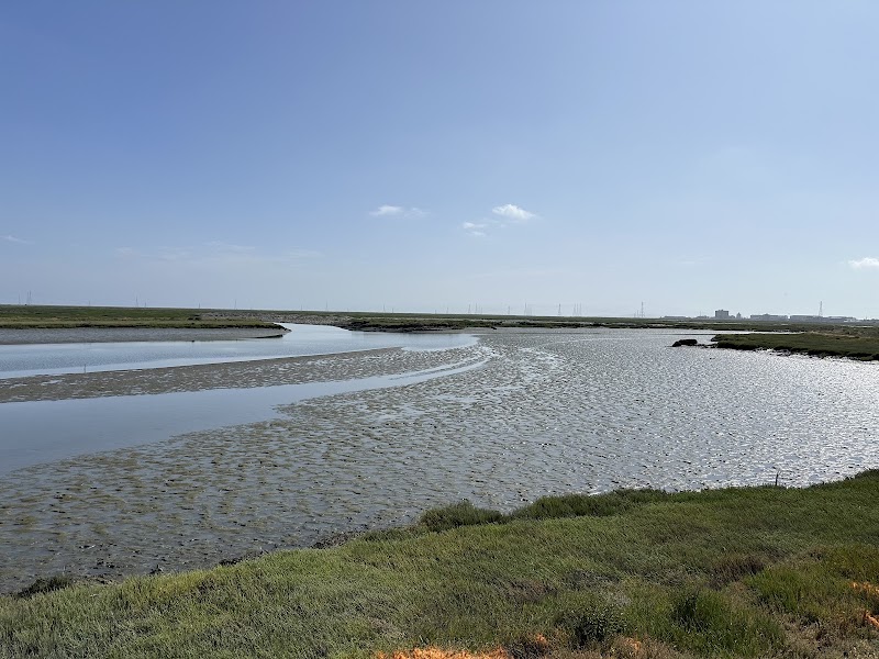 Bair Island Wildlife Refuge & Trail